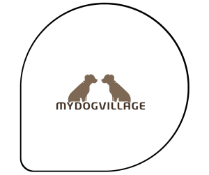 realizzato sito web, seo, social, google ads my dog village